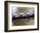 Crew Rowing, Seattle, Washington, USA-Terry Eggers-Framed Photographic Print