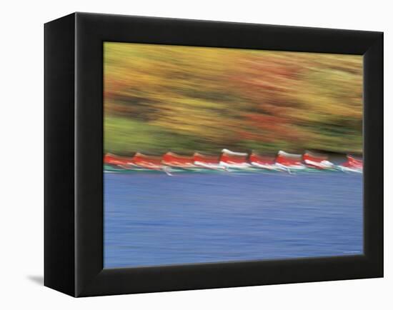 Crew Team on Water-null-Framed Premier Image Canvas