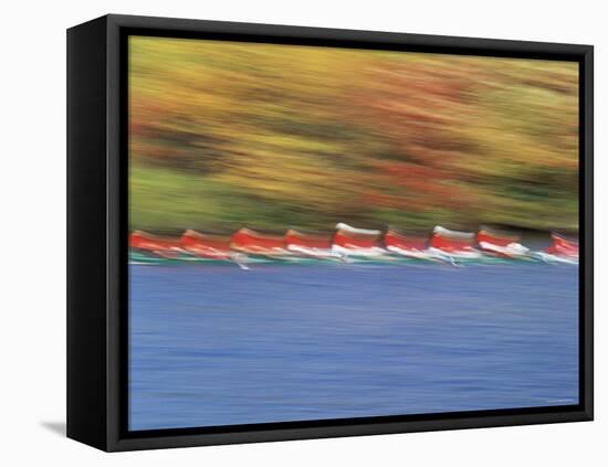 Crew Team on Water-null-Framed Premier Image Canvas