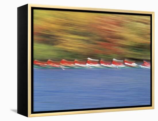 Crew Team on Water-null-Framed Premier Image Canvas