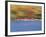 Crew Team on Water-null-Framed Photographic Print