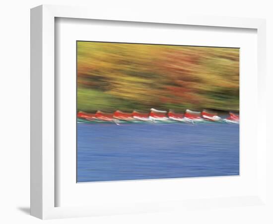 Crew Team on Water-null-Framed Photographic Print