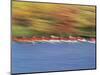 Crew Team on Water-null-Mounted Photographic Print