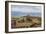 Criccieth from the Golf Links-Alfred Robert Quinton-Framed Giclee Print