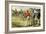 Cricket, 19th Century-null-Framed Giclee Print