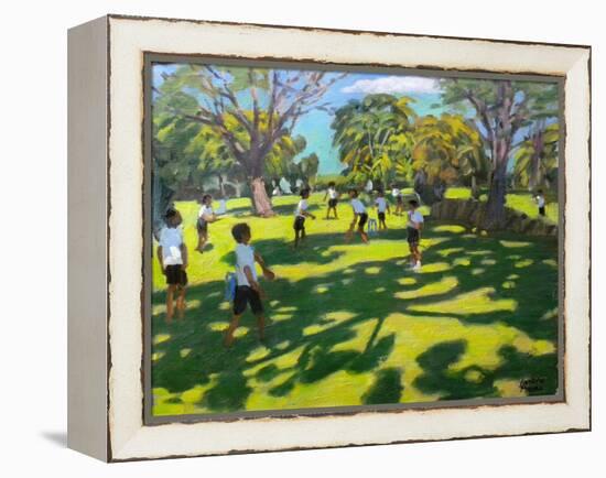 Cricket, 2011-Andrew Macara-Framed Premier Image Canvas