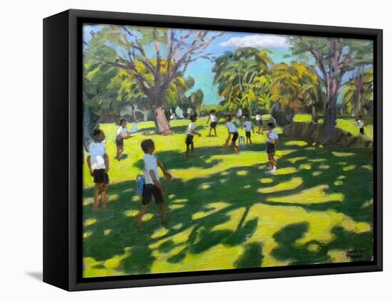 Cricket, 2011-Andrew Macara-Framed Premier Image Canvas