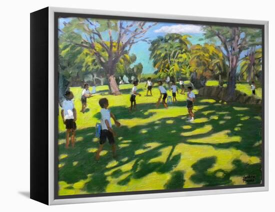 Cricket, 2011-Andrew Macara-Framed Premier Image Canvas