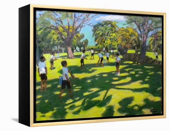 Cricket, 2011-Andrew Macara-Framed Premier Image Canvas