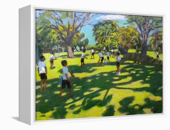 Cricket, 2011-Andrew Macara-Framed Premier Image Canvas