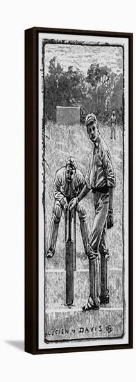 Cricket Asking for Guard-Lucien Davis-Framed Stretched Canvas