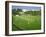 Cricket at Claygate, 1981-Liz Wright-Framed Giclee Print