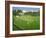 Cricket at Claygate, 1981-Liz Wright-Framed Giclee Print