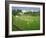 Cricket at Claygate, 1981-Liz Wright-Framed Giclee Print