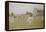 Cricket at Lords, 1896-William Barnes Wollen-Framed Premier Image Canvas