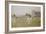 Cricket at Lords, 1896-William Barnes Wollen-Framed Giclee Print