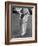 Cricket Bat-William Sumits-Framed Photographic Print