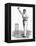 Cricket Bowling an Off-Break-Lucien Davis-Framed Stretched Canvas