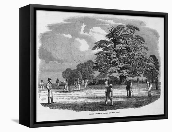 Cricket Game-null-Framed Premier Image Canvas