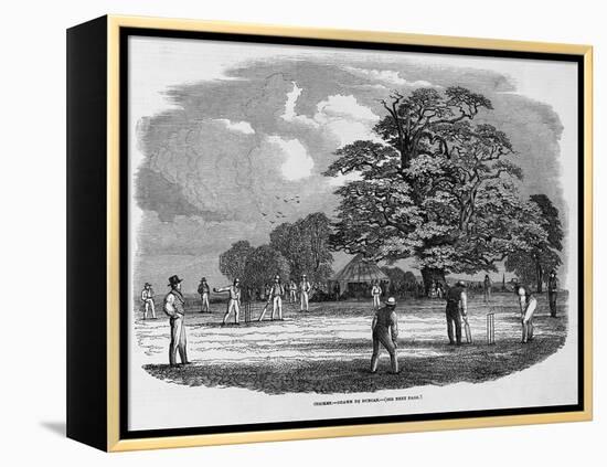 Cricket Game-null-Framed Premier Image Canvas