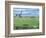 Cricket Match on Portland-Liz Wright-Framed Giclee Print