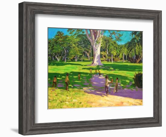 Cricket Match, St George, Granada, 2011-Andrew Macara-Framed Giclee Print