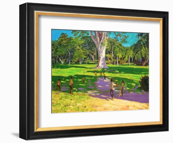 Cricket Match, St George, Granada, 2011-Andrew Macara-Framed Giclee Print