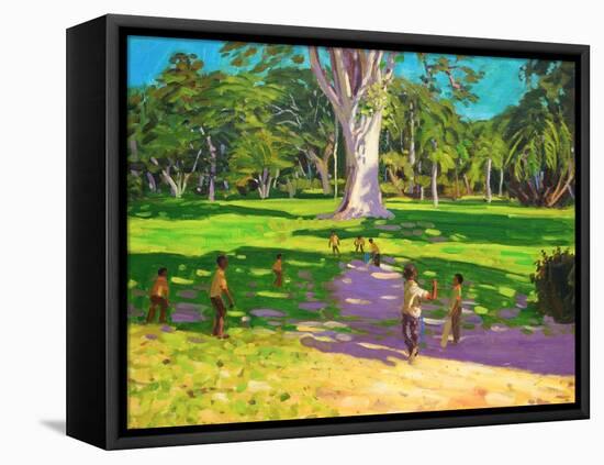 Cricket Match, St George, Granada, 2011-Andrew Macara-Framed Premier Image Canvas