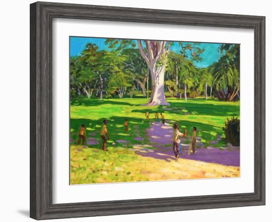 Cricket Match, St George, Granada, 2011-Andrew Macara-Framed Giclee Print