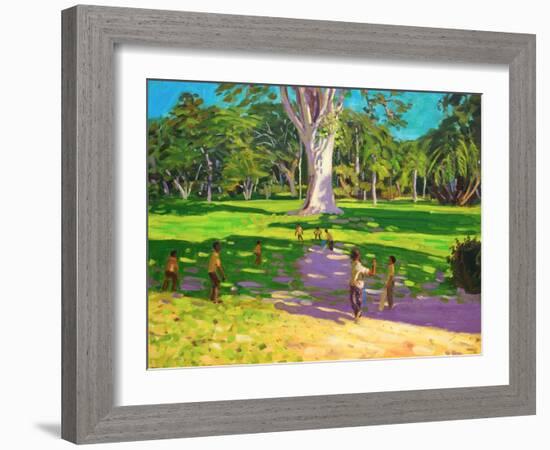 Cricket Match, St George, Granada, 2011-Andrew Macara-Framed Giclee Print