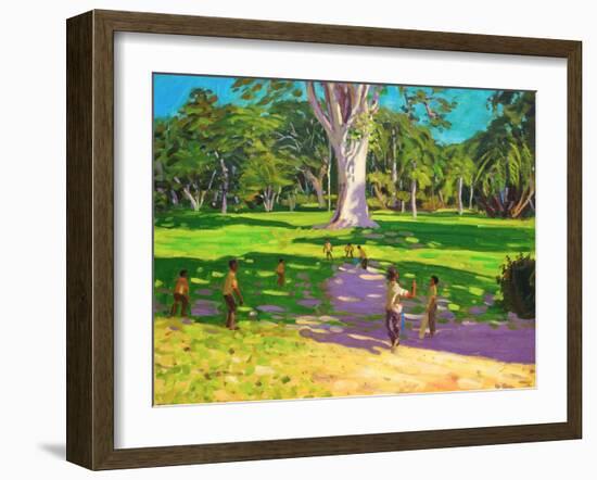 Cricket Match, St George, Granada, 2011-Andrew Macara-Framed Giclee Print