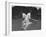 Cricket Match-Frank Scherschel-Framed Photographic Print