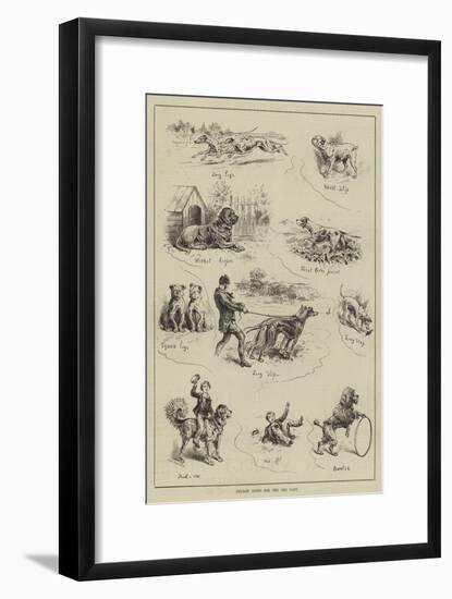 Cricket Notes for the Dog Days-null-Framed Giclee Print