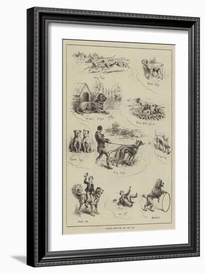 Cricket Notes for the Dog Days-null-Framed Giclee Print