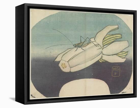 Cricket on a Squash, C. 1830-Hogyoku-Framed Premier Image Canvas