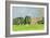 Cricket on Churchill Green-Judy Joel-Framed Giclee Print