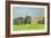 Cricket on Churchill Green-Judy Joel-Framed Giclee Print