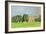 Cricket on Churchill Green-Judy Joel-Framed Giclee Print