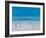 Cricket on the Beach, 2012-Lincoln Seligman-Framed Giclee Print