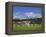 Cricket on Village Green, Surrey, England-Jon Arnold-Framed Premier Image Canvas