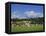 Cricket on Village Green, Surrey, England-Jon Arnold-Framed Premier Image Canvas