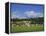 Cricket on Village Green, Surrey, England-Jon Arnold-Framed Premier Image Canvas