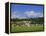 Cricket on Village Green, Surrey, England-Jon Arnold-Framed Premier Image Canvas