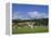 Cricket on Village Green, Surrey, England-Jon Arnold-Framed Premier Image Canvas