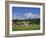 Cricket on Village Green, Surrey, England-Jon Arnold-Framed Photographic Print