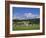 Cricket on Village Green, Surrey, England-Jon Arnold-Framed Photographic Print