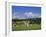 Cricket on Village Green, Surrey, England-Jon Arnold-Framed Photographic Print