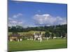 Cricket on Village Green, Surrey, England-Jon Arnold-Mounted Photographic Print