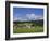 Cricket on Village Green, Surrey, England-Jon Arnold-Framed Photographic Print