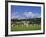 Cricket on Village Green, Surrey, England-Jon Arnold-Framed Photographic Print